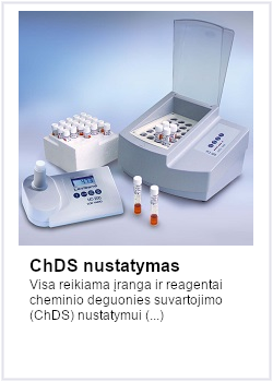 chds nustatymas