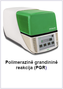 Polimerazinė grandininė reakcija (PGR)